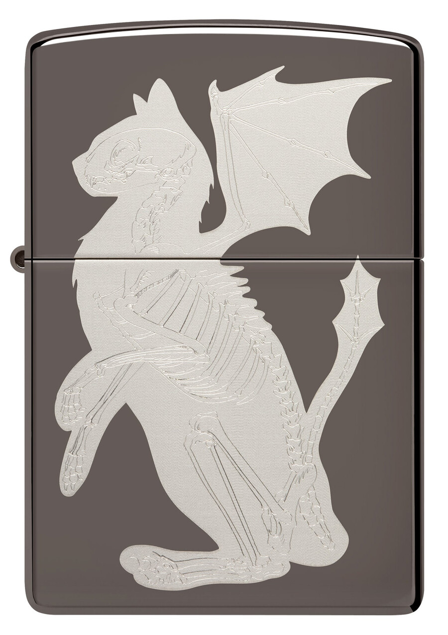 dragon cat design